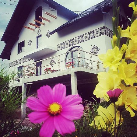 فيلا Casa Aureliana Ciocanesti المظهر الخارجي الصورة