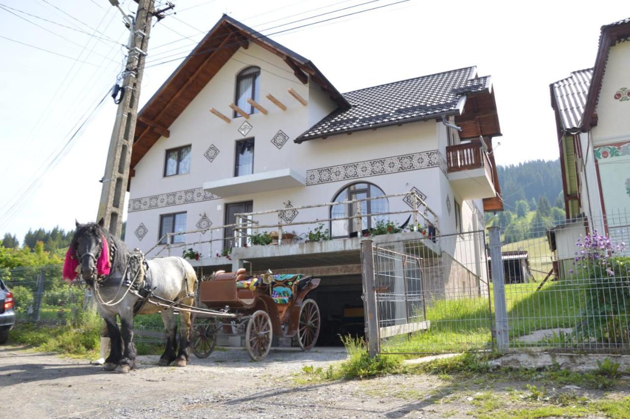 فيلا Casa Aureliana Ciocanesti المظهر الخارجي الصورة