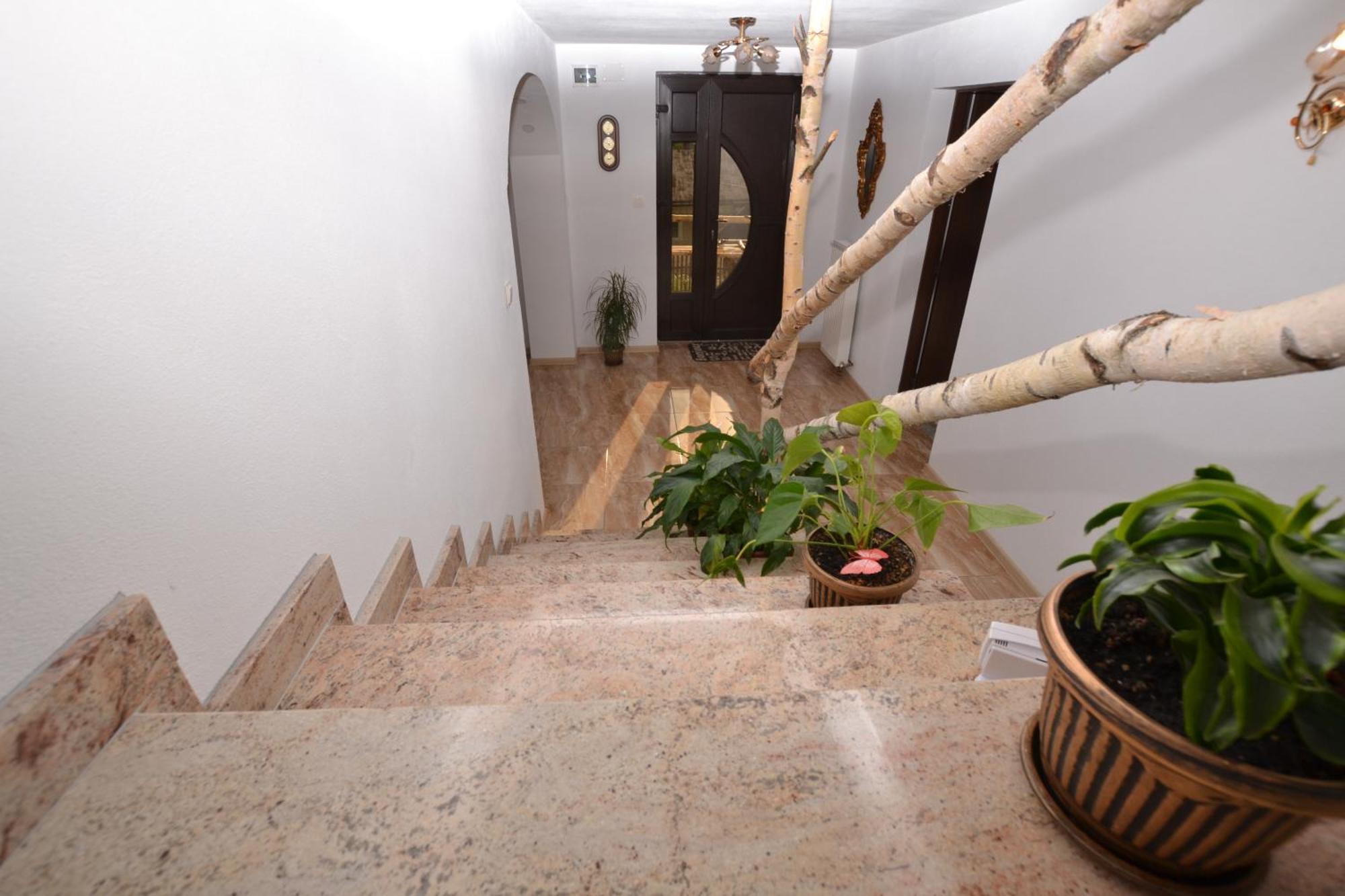 فيلا Casa Aureliana Ciocanesti المظهر الخارجي الصورة